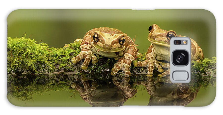 Milk Galaxy Case featuring the photograph Two Amazon Milk Frogs by Markbridger