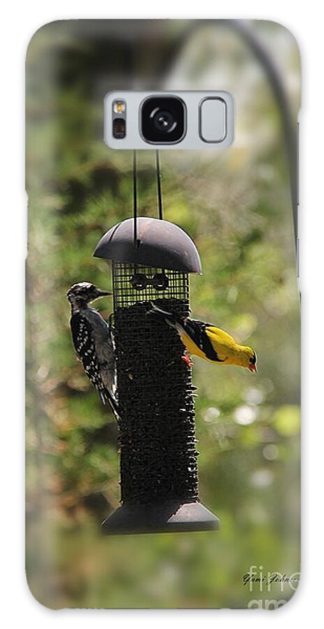 Downy Woodpecker Galaxy Case featuring the photograph Two Birds on the feeder by Yumi Johnson