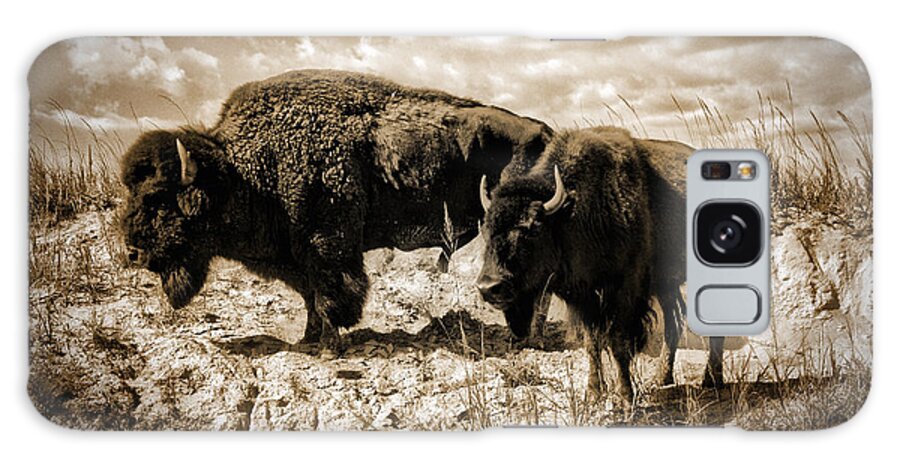 Photograph Galaxy Case featuring the photograph Two Buffalo by Richard Gehlbach