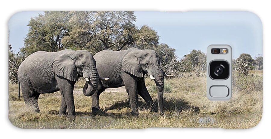 African Elephant Galaxy Case featuring the photograph Two bull African Elephants - Okavango Delta by Liz Leyden
