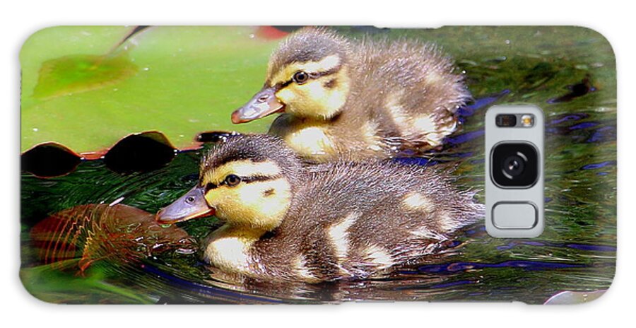 Ducklings Galaxy Case featuring the photograph Two Ducklings by Amanda Mohler