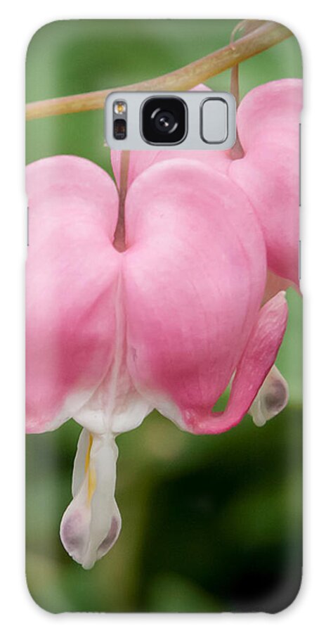 Flowers Galaxy S8 Case featuring the photograph Two hearts by David Coblitz