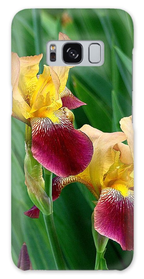 Fine Art Galaxy S8 Case featuring the photograph Two Iris by Rodney Lee Williams