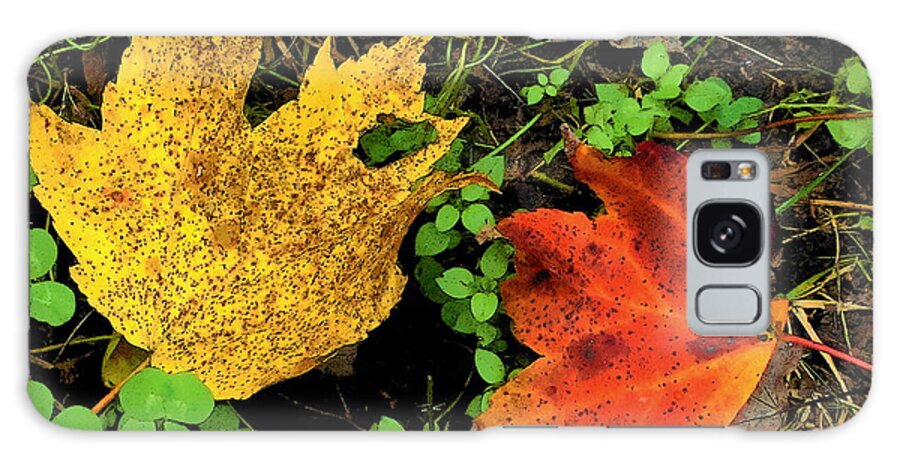 Fine Art Galaxy Case featuring the photograph Two Leaves by Rodney Lee Williams