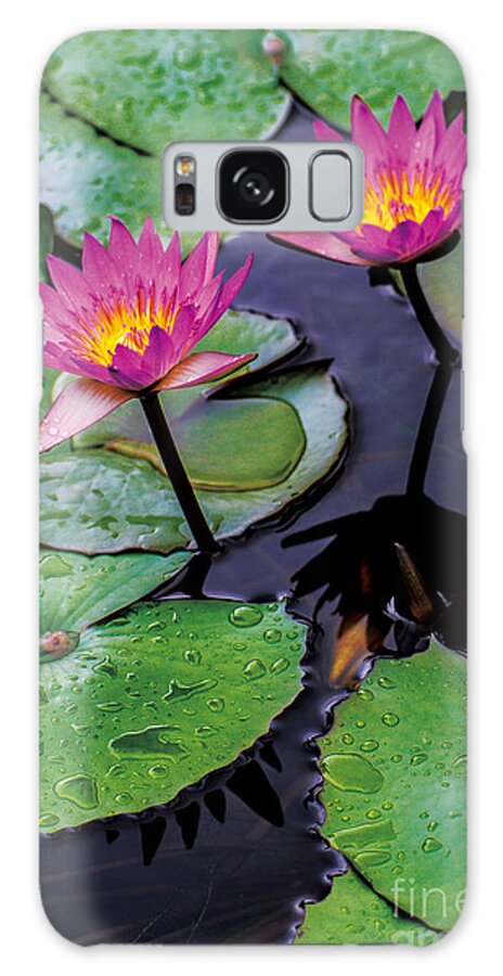 Pink Galaxy Case featuring the painting Two Little by Philip HP Wong