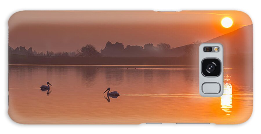 Landscape Galaxy Case featuring the photograph Two Pelicans at Sunrise by Marc Crumpler
