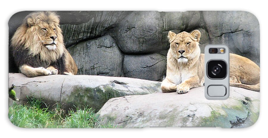 Animal Galaxy Case featuring the photograph Two Tranquil Lions by Lora Fisher