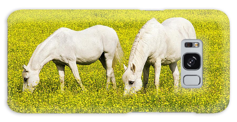 Horse Galaxy Case featuring the photograph Two White Horses In A Field Of by Simon Butterworth