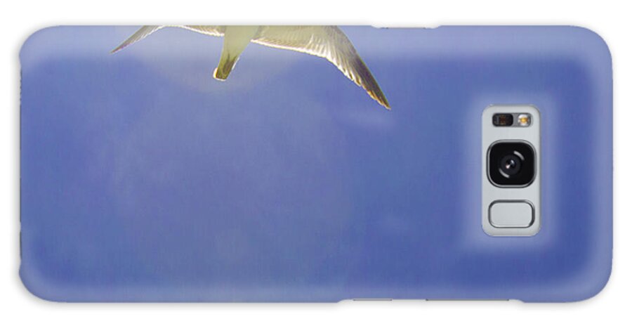susan Molnar Galaxy S8 Case featuring the photograph Under His Wings II by Susan Molnar