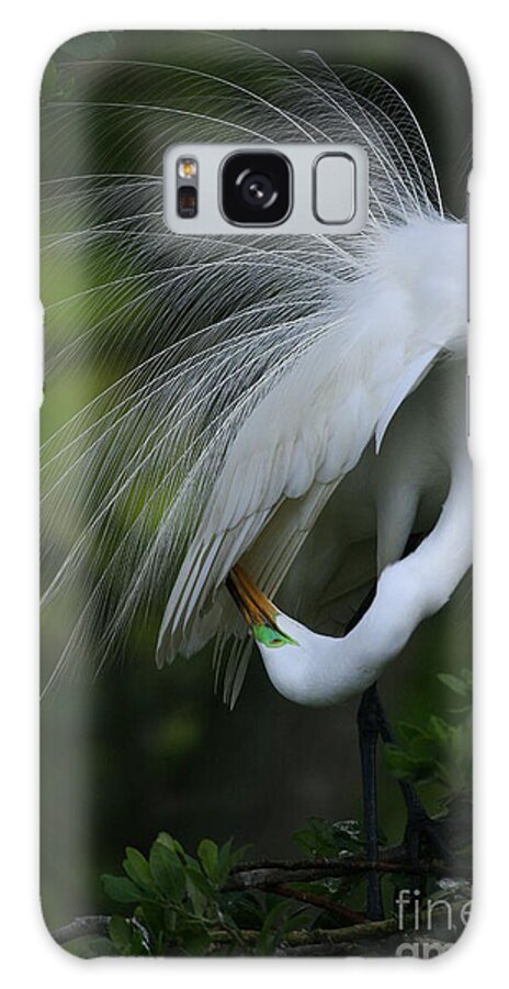 Animals Galaxy Case featuring the photograph Under My Wing by John F Tsumas