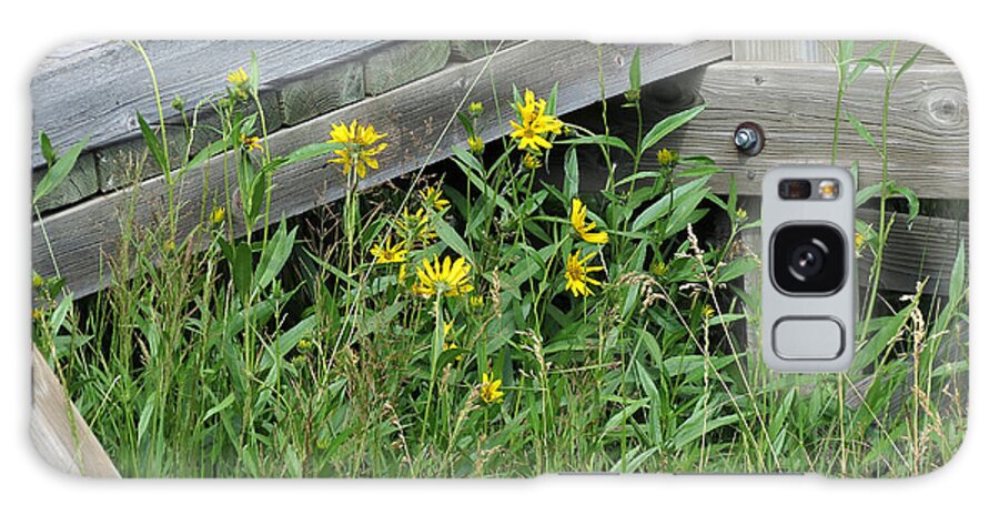Yellow Flowers Galaxy Case featuring the photograph Under the Boardwalk by Laurel Powell