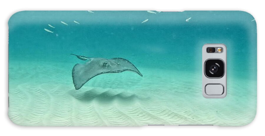 Stingray Galaxy Case featuring the photograph Underwater Flight by Peggy Hughes