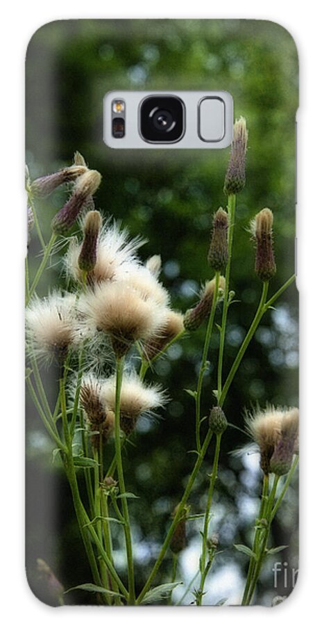 Canadian Galaxy Case featuring the photograph Undesirable Beauty and the Thistle Beast by Lee Craig