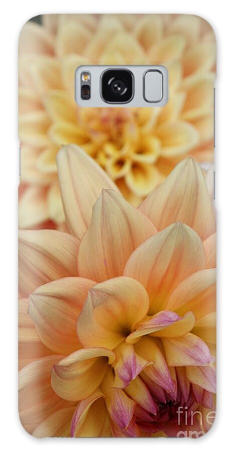 Dahlia Galaxy S8 Case featuring the photograph Upstaged by Brook Steed