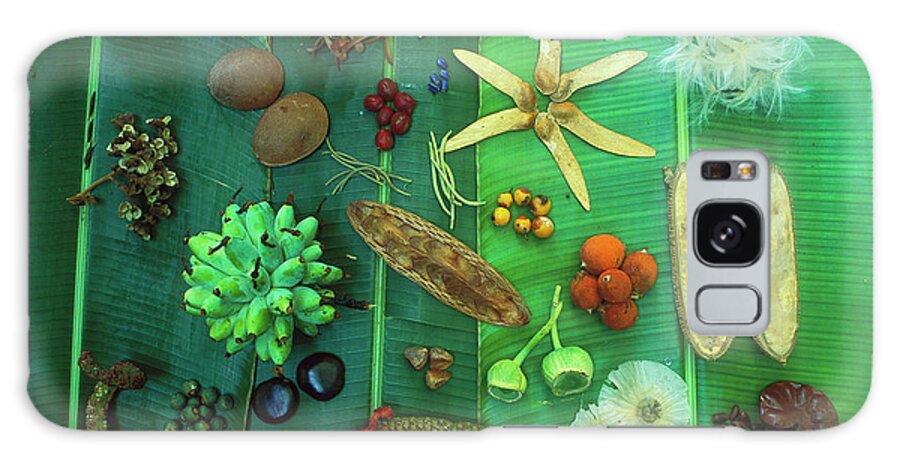 00760014 Galaxy Case featuring the photograph Variety Of Seeds And Fruits by Christian Ziegler