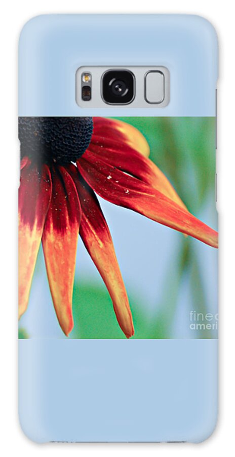 Flower Galaxy Case featuring the photograph Velvet Petals by Kerri Farley