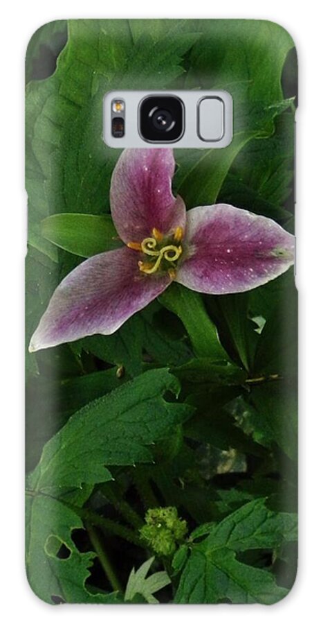 Flowers Trillium Galaxy S8 Case featuring the photograph Velvet Trillium by Charles Lucas