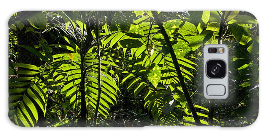 Palm Galaxy Case featuring the photograph Verdant Greens by Christopher Byrd