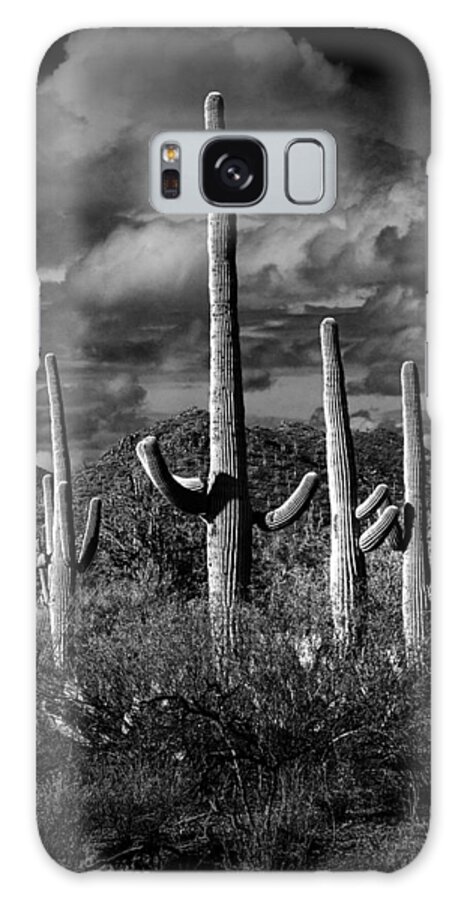 Art Galaxy Case featuring the photograph Vertical Black and White Saguaro Cactuses in Saguaro National Park by Tucson by Randall Nyhof