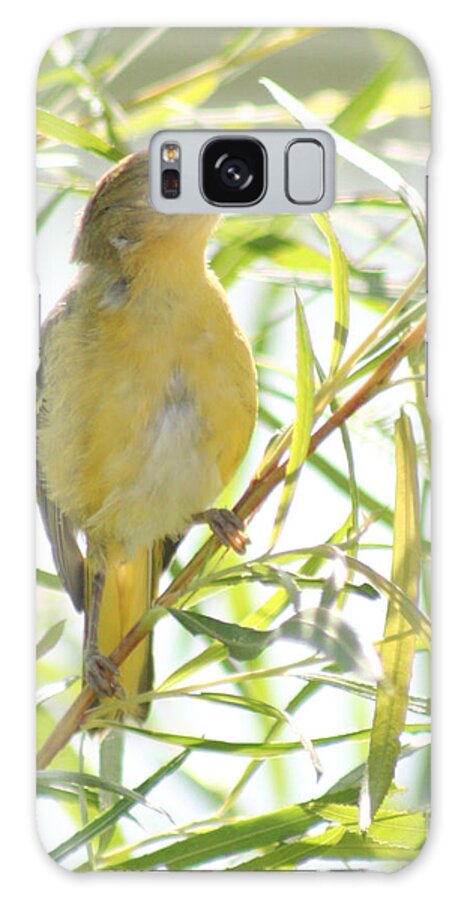 Warbler Galaxy S8 Case featuring the photograph Very Yellow Warbler by Anita Oakley