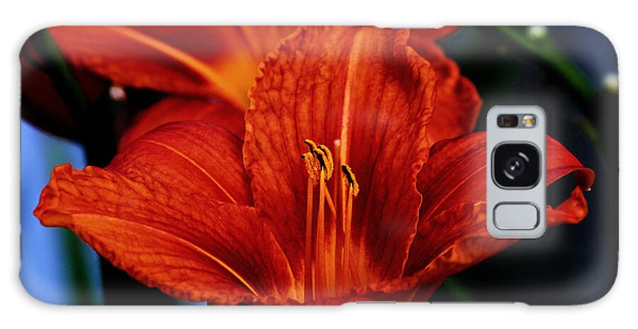 Lily Galaxy Case featuring the photograph Vibrant Day Lilies by Jeanette C Landstrom