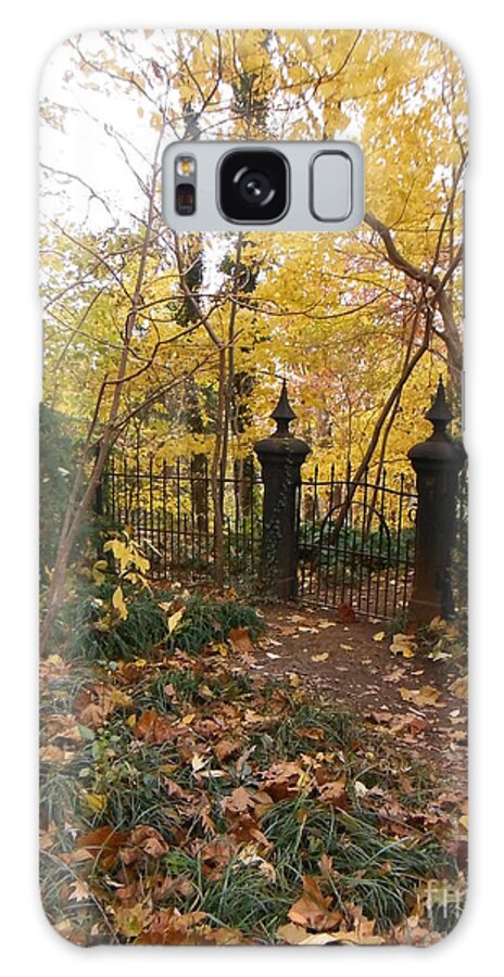 Metal Gate Galaxy Case featuring the photograph Victorian Metal Gate 1 by Paddy Shaffer