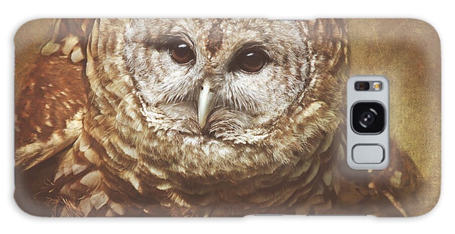 Barred Owls Galaxy S8 Case featuring the photograph Vilma #7 by Pat Abbott