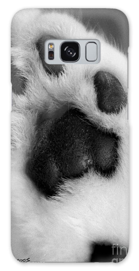 Animal Galaxy Case featuring the photograph Vincents Paw by Joanne West