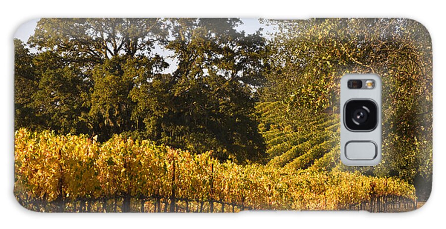 Craig Lovell Galaxy Case featuring the photograph Vines and Oaks Alexander Valley by Craig Lovell