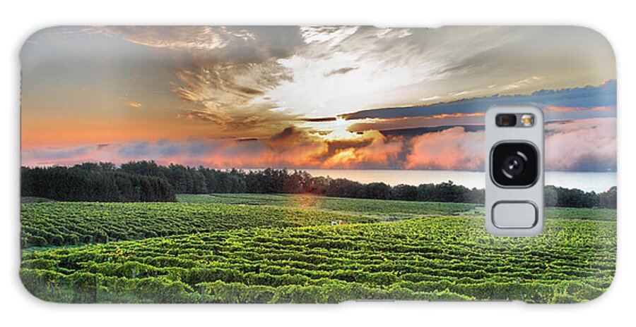 Dawn Galaxy Case featuring the photograph Vineyard At Sunrise by Steven Ainsworth