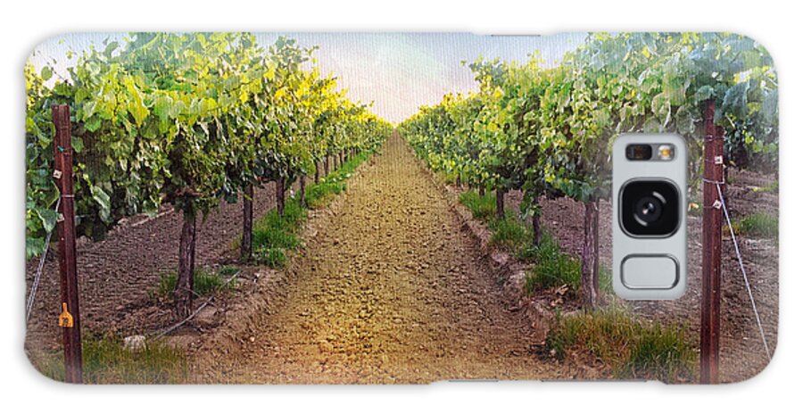 Vineyard Galaxy S8 Case featuring the photograph Vineyard Road by Shari Warren