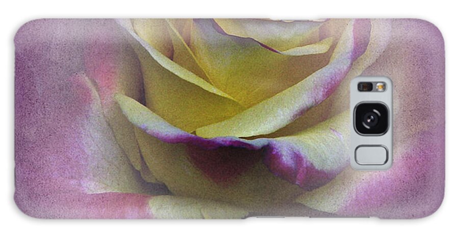 Rose Galaxy Case featuring the photograph Vintage January Rose by Richard Cummings