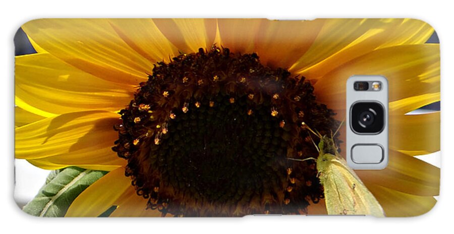 Sunflower Galaxy Case featuring the photograph Visitor by Dark Whimsy