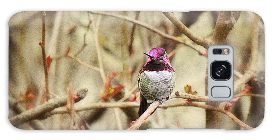 Hummingbird Galaxy Case featuring the photograph Waiting for Blooms by Melanie Lankford Photography