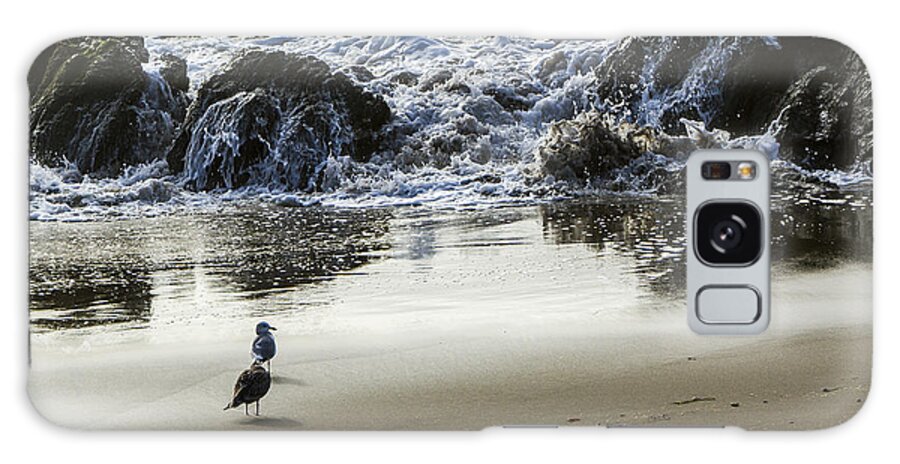 Beach Galaxy Case featuring the photograph Waiting For Their Meal by Jim Moss