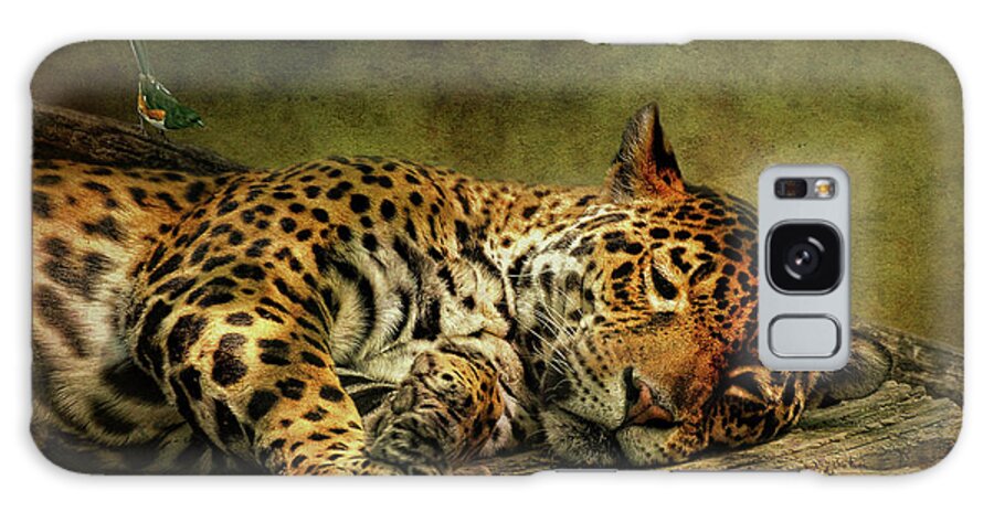 Leopard Galaxy S8 Case featuring the photograph Wake Up Sleepyhead by Lois Bryan