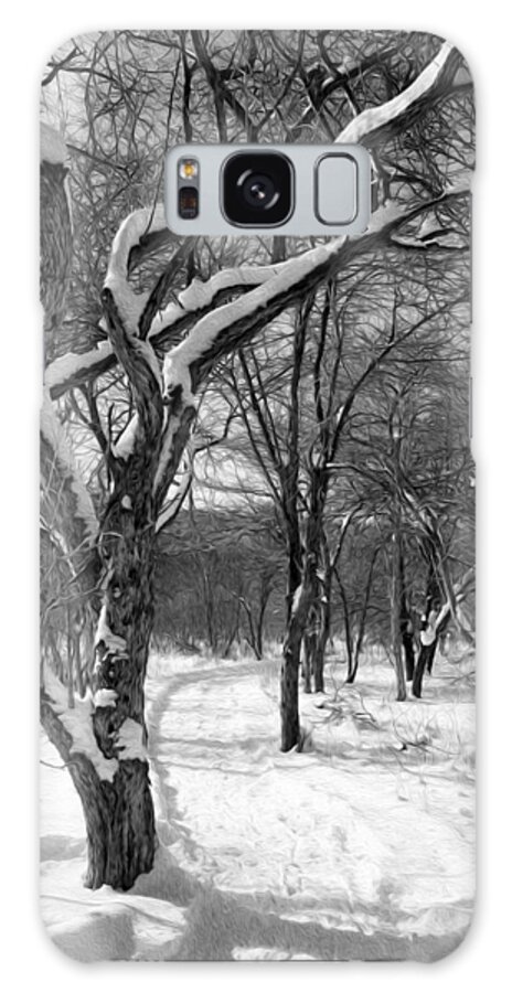 Snow Galaxy Case featuring the photograph Walk in the snow by Tracy Winter
