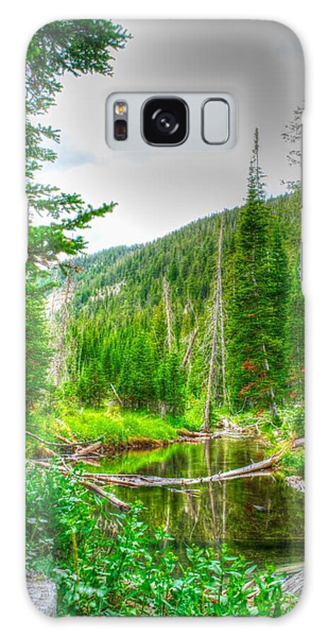 Walk In The Woods Galaxy S8 Case featuring the photograph Walk in the woods by Kevin Bone