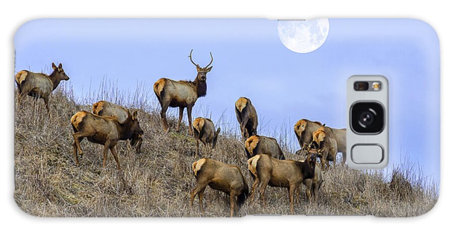 Elk Galaxy Case featuring the photograph Wanderers by Anthony Heflin