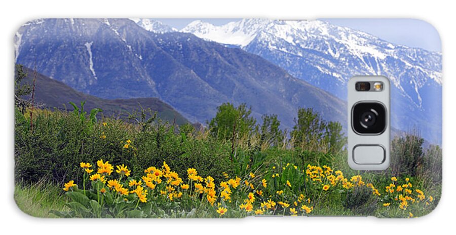 Utah Galaxy Case featuring the photograph Wasatch Mountains in Spring by Charline Xia