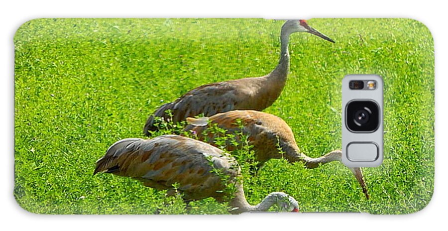 Sandhill Crane Galaxy S8 Case featuring the photograph Watch Out by Kimberly Woyak