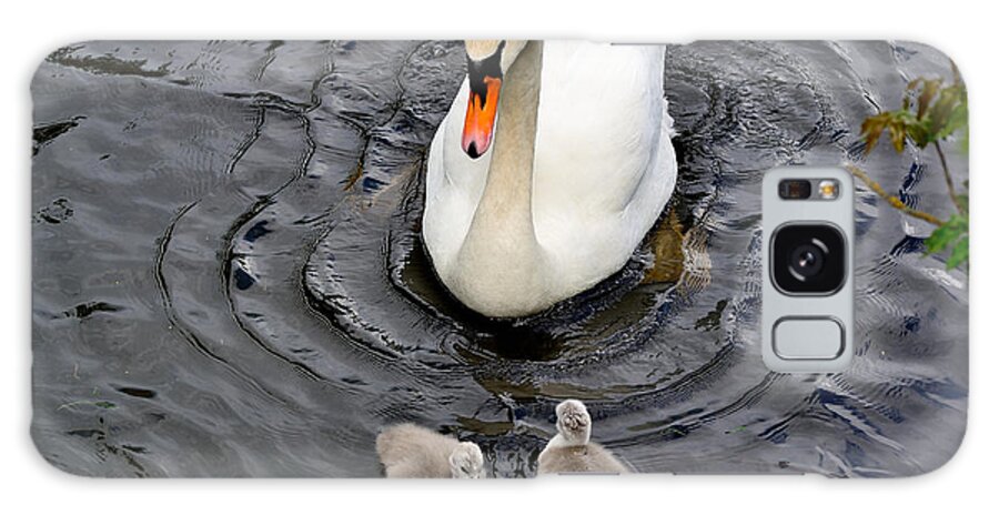 Swan Galaxy S8 Case featuring the photograph Watching closely by Kathy King