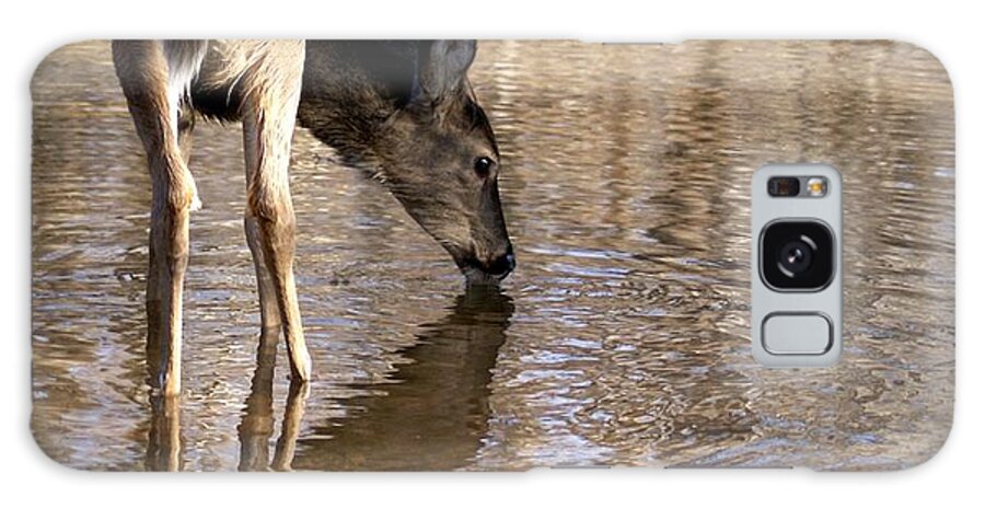 Deer Galaxy Case featuring the photograph Water Fun by Bill Stephens