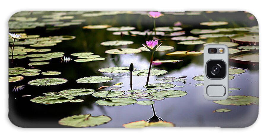 Water Lilies Galaxy Case featuring the photograph Water Lilies in the Pond by Craig Watanabe