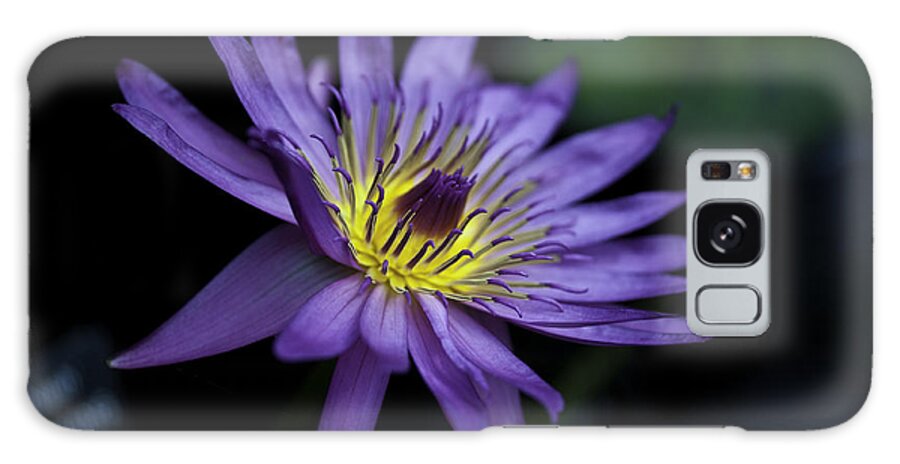 Close-ups Galaxy Case featuring the photograph Water Lilly by Donald Brown