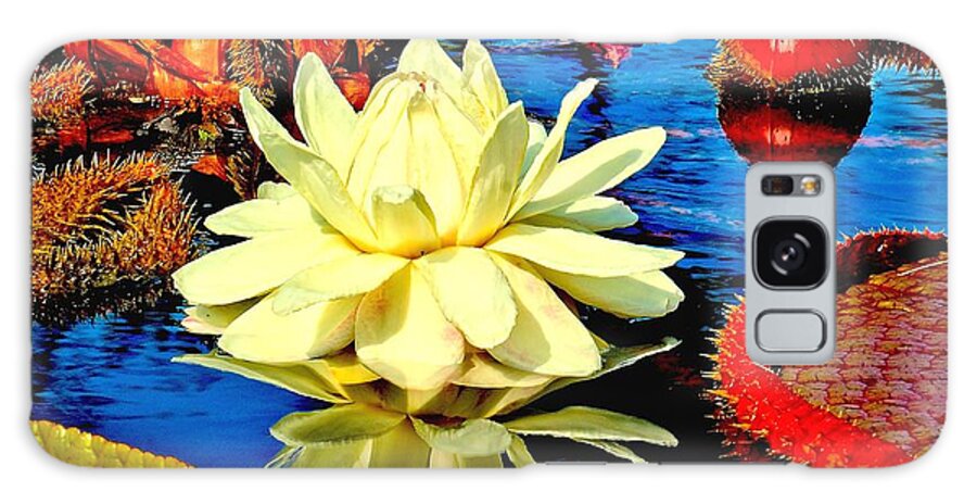 Aquatic Galaxy Case featuring the photograph Water Lilly Pond by Nick Zelinsky Jr