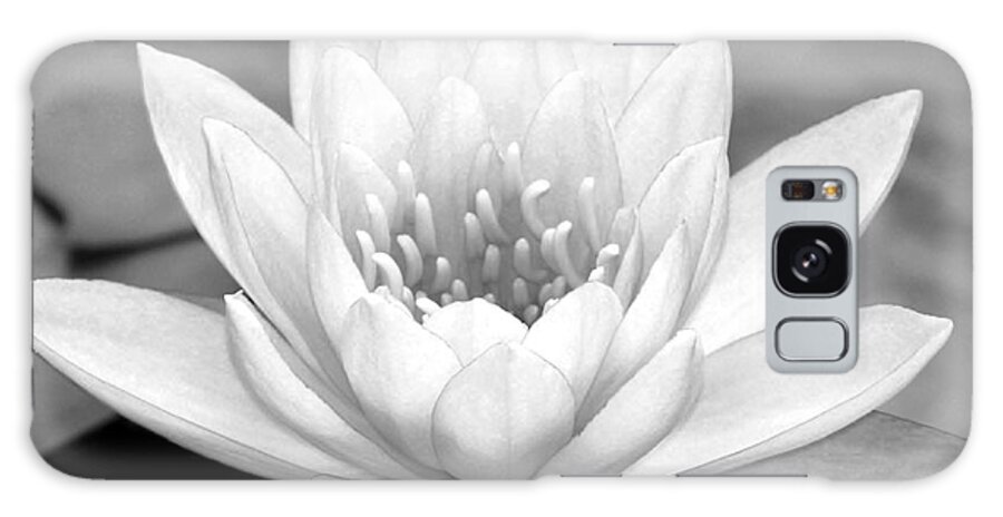 Landscape Galaxy Case featuring the photograph Water Lily in Black and White by Sabrina L Ryan