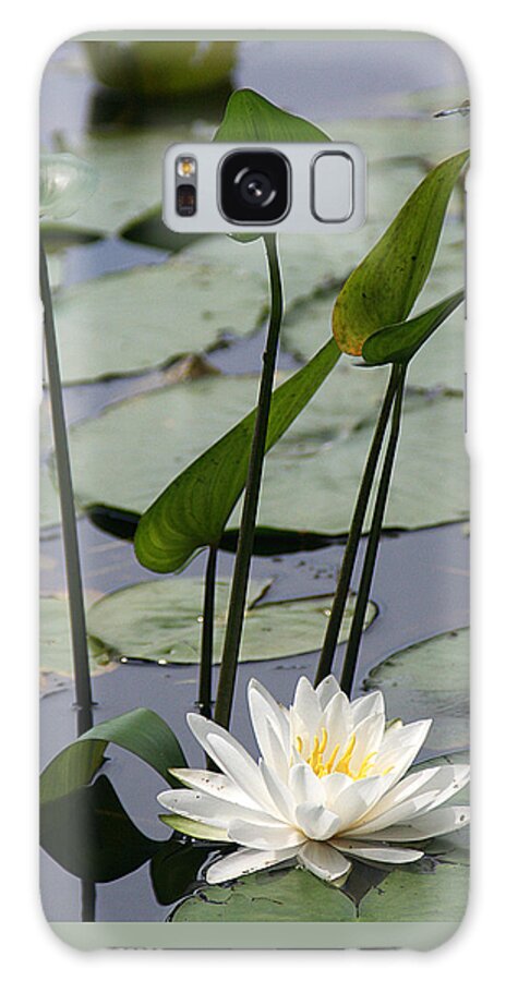 Nature Galaxy Case featuring the photograph Water Lily in Bloom by William Selander