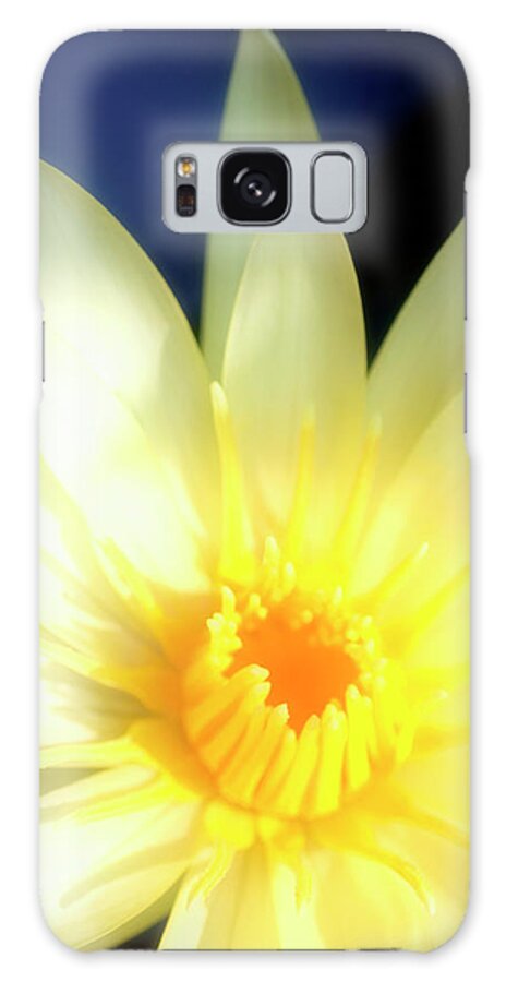 Water Lily Galaxy Case featuring the photograph Water Lily (nymphaea Sp.) by Maria Mosolova/science Photo Library
