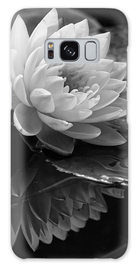 Beautiful Galaxy Case featuring the photograph Water Lily Reflections II by Dawn Currie